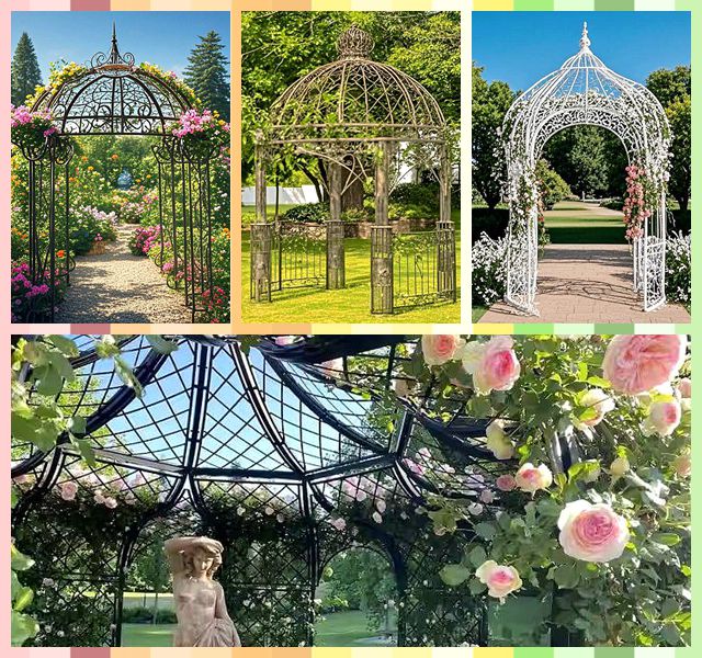 Gardening & Diy 5 Best Climbing Plants For Your Gazebo (plus Care Tips!)
